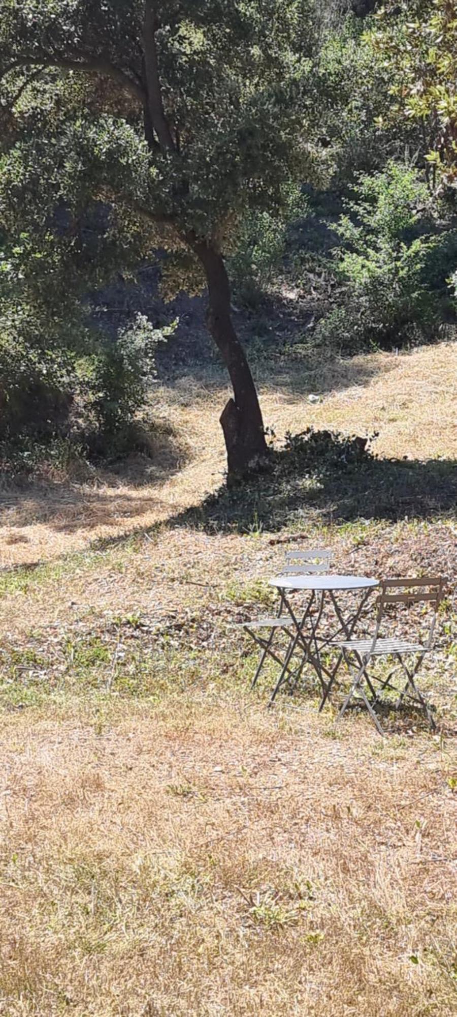 Les Bois De Zola Entre Provence Et Luberon Aparthotel Saint-Esteve-Janson Exterior photo